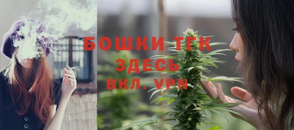 прущие грибы Бородино