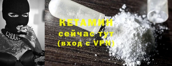 прущие грибы Бородино