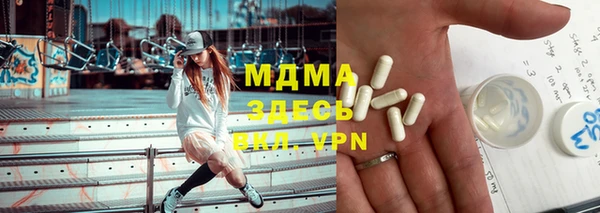 прущие грибы Бородино