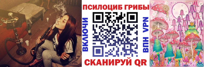 Купить закладки Малая Вишера Псилоцибиновые грибы мухоморы